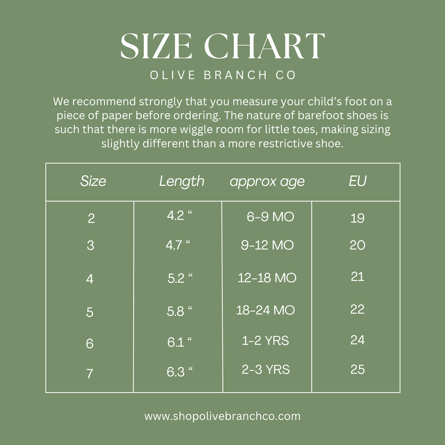 The Everything Shoe - Jordan Blue - Soft Sole Barefoot 100% Leather